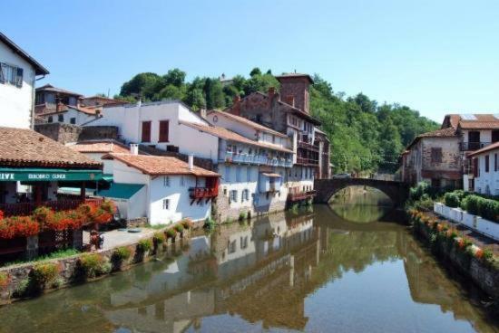 Appartamento Parc Arradoy Saint-Jean-Pied-de-Port Esterno foto